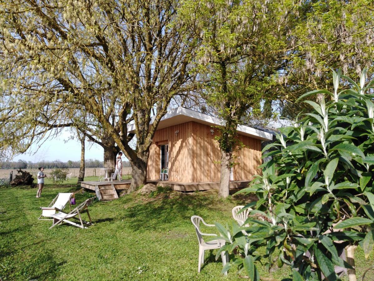 Le Chalet Du Bord De L'Eau Sainte-Terre Экстерьер фото